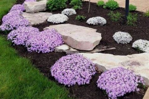 7 Fantastic Benefits Of Mulch In Flower Beds Lumberjacks