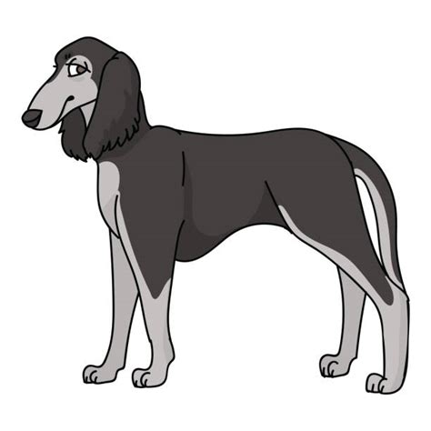 Borzoi Cartoons Illustrations Royalty Free Vector Graphics And Clip Art