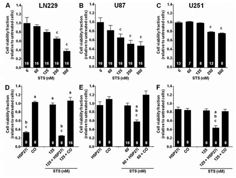 Heat Shock Protein Hsp Knockdown Sensitizes Glioblastoma