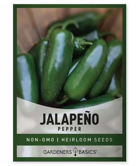 Jalapeño Pepper Seeds Gardeners Basics