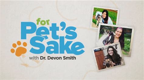 Salt Lake City For Pet's Sake | News, Weather, Sports, Breaking News | KUTV