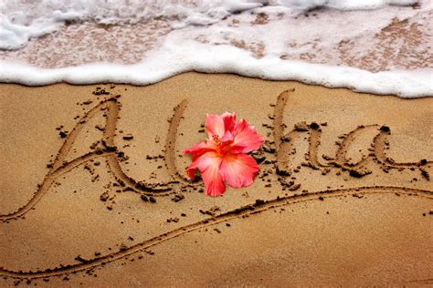 12 Must Know Hawaiian Words And Phrases Suite Paradise