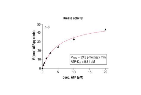 Htscan® Vegf Receptor 1 Kinase Assay Kit Cell Signaling Technology