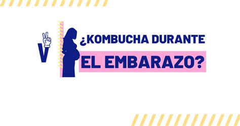 Se Puede Beber Kombucha Durante El Embarazo Viverkombucha