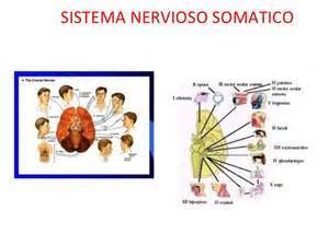 DESARROLLO HISTORICO DE LA PSICOFISIOLOGIA Mind Map