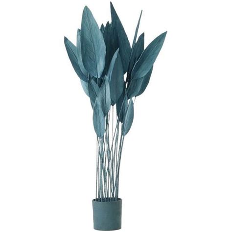 Pin By On Moodboard Bird Of Paradise Plant Plant Pot