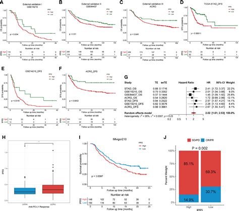 Frontiers Characterization Of Immune Related Molecular Subtypes And A