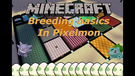 How To Breed Basic Minecraft Pixelmon Youtube