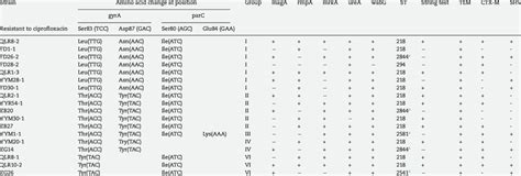 Molecular Characteristics Of Klebsiella Pneumoniae Isolates