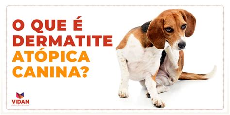 Dermatite Atópica Canina Tudo O Que Você Precisa Saber Vidan