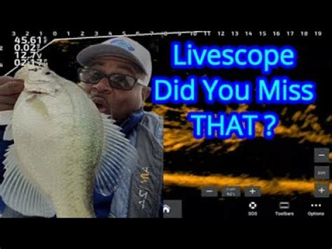 Livescope Crappie Fishing See Crappie On Livescope That Most Pass