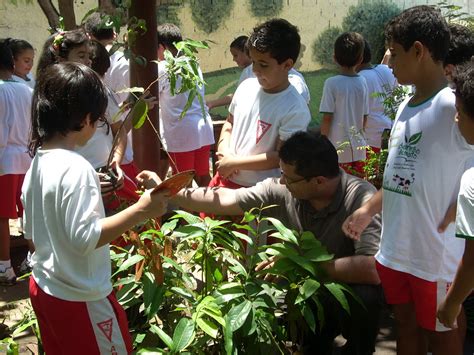 Projeto Cheirinho De Mato Oficinas No Cheirinho De Mato O Que Os