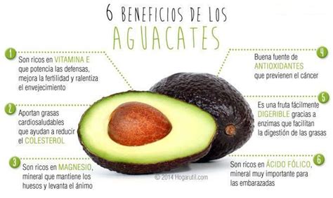 Aguacate Muy Buenos Beneficios Aguacate Beneficios Aguacate Y