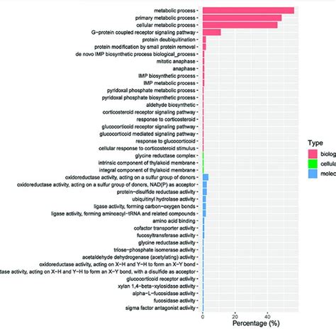 The Most Enriched Kegg Pathways Of The Predicted Target Genes Of