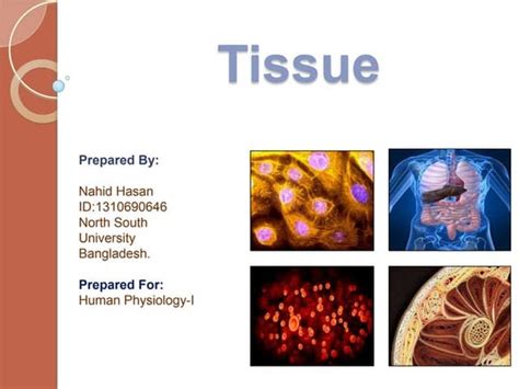 Tissue its types, structure and function