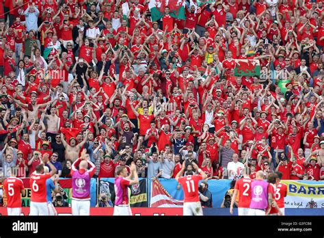 Wales Celebrate Victory After The Final Whistle In Front Of The Welsh