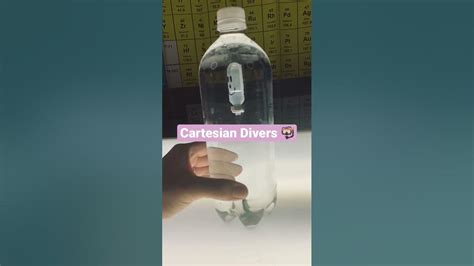 Cartesian Divers 🤿 A Homemade Science Toy Youtube