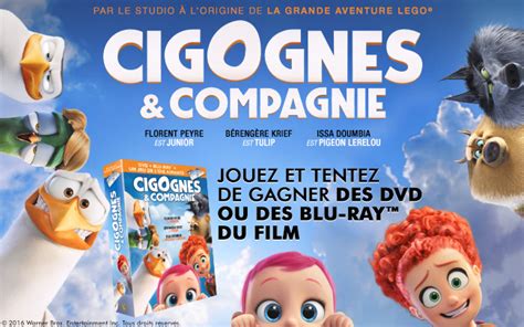 Des DVD du dessin animé Cigognes et compagnie