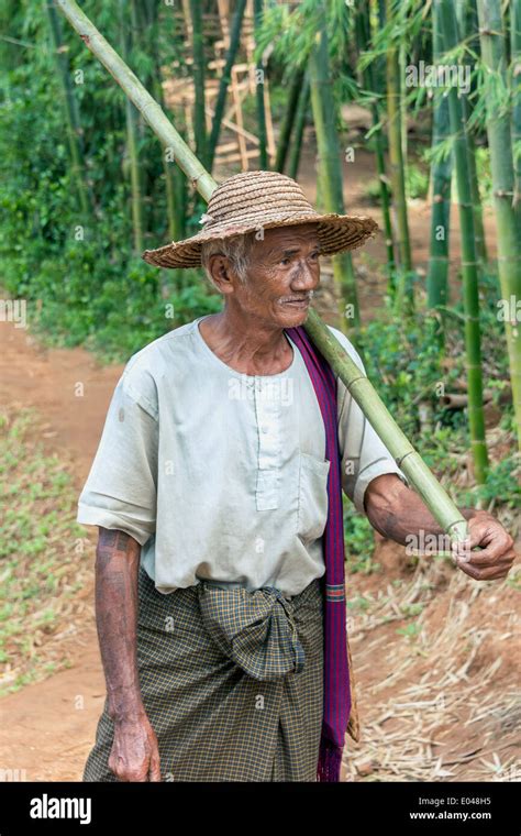 Portrait Of An Old Man Carrying A Stalk Of Bamboo Inle Lake Myanmar