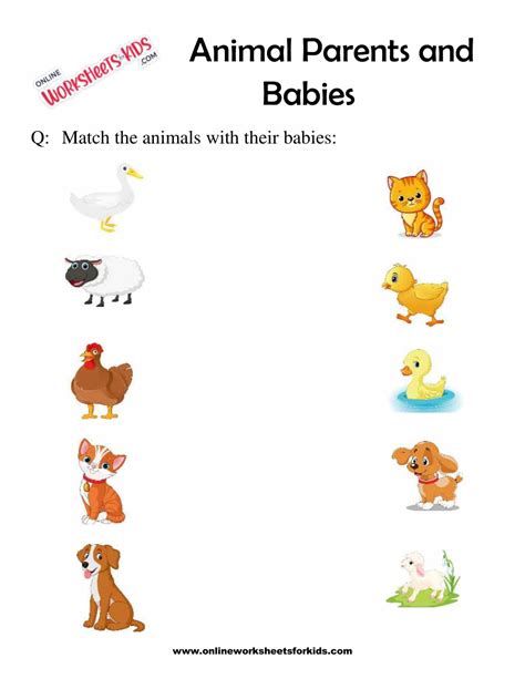 Animal Parents and Babies 1