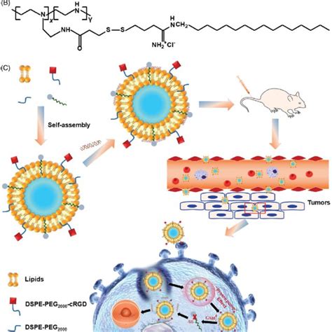 The Structural Formulae Of Dspe Peg Crgd Psh And Schematic