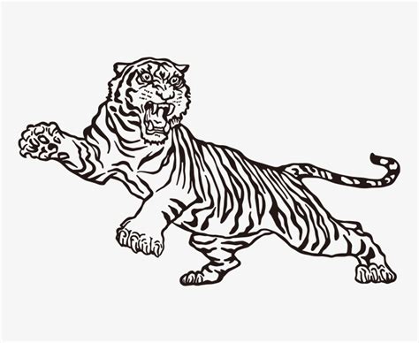 Retro Tiger Drawing Illustration Vector Ai Illustrator File US 5