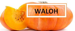 wwwbagi bagiilmusunartacom obat herbal menyembuhkan asam lambung