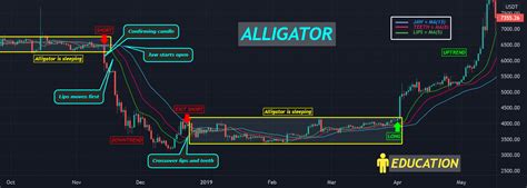 EDUCATION Williams Alligator Indicator For BINANCE BTCUSDT By Skyrexio