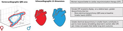 Heart Size Corrected Electrical Dyssynchrony And Its Impact On Sex Specific Response To Cardiac