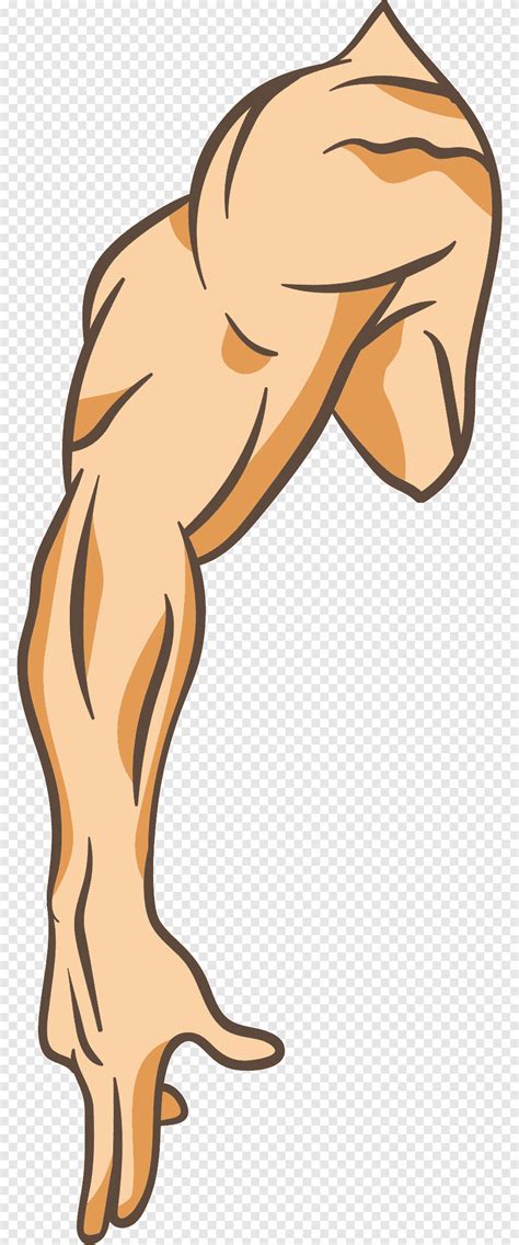 Arm Computer File Strong Powerful Right Arm Mammal Cartoon Arms Png