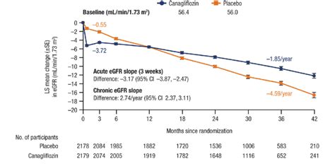 Effects Of Canagliflozin On Egfr Slope Over Time 46 Egfr Estimated