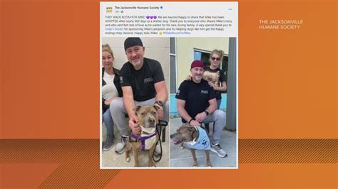 Longest Tenured Dog At Jacksonville Humane Society Mike Adopted