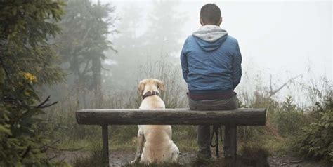 Cómo Practicar Mindfulness Con Animales Ibydal