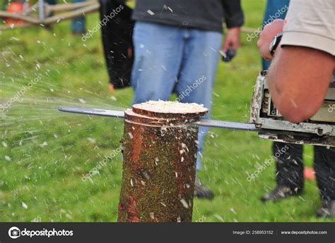 Close Logger Using Chainsaw Cut Slices Log Sawdust Flying Stock Photo ...