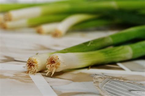 Kostenlose Foto Natur Blume Lebensmittel Produzieren Gem Se