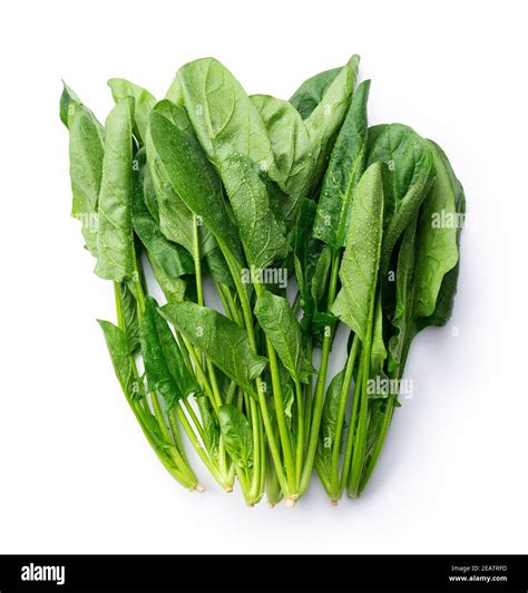 Spinach On A White Background Stock Photo Alamy