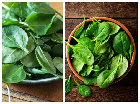 Why Spinach Is Good For Health And Environment Times Of India