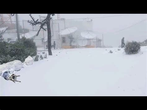 Nieve Entierr A Perr S De La Calle En Nevado De Toluca Alerta Tras