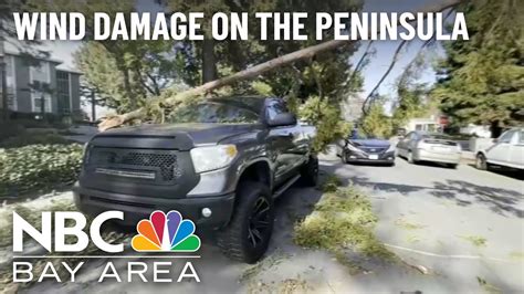 Gusty Winds Knock Over Trees Cause Damage On The Peninsula Youtube