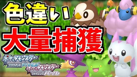 【ポケモンbdsp】徹底解説！ポケトレの仕様を理解して、ダイパリメイクで色違いを大量に捕まえよう！ ポケモン関連情報のまとめ動画