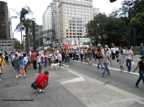 VEM AI A II MANIFESTAÇÃO CRUELDADE NUNCA MAIS