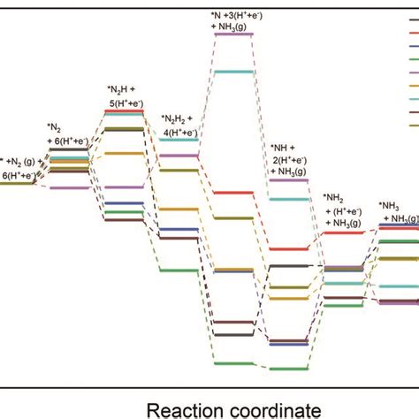 DFT Calculated Free Energy Diagrams Of The ENRR At U 0 V Along The