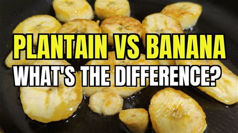 Plantain Vs Banana Spot The Differences YouTube