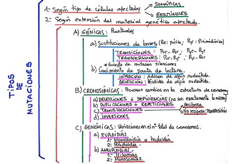 Zz2 Cuadro Sinoptico Mutaciones Portafolio De Biologia Porn Sex Picture