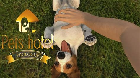 Pets Hotel Prologue Youtube