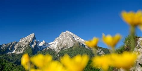 Aussichtsgipfel Auf Den Watzmann Wanderung Outdooractive