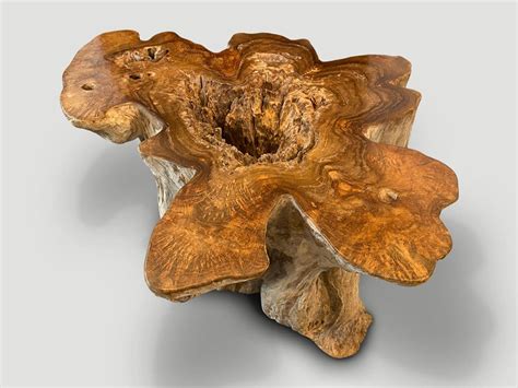 Impressive Organic Teak Coffee Table 3797M Andrianna Shamaris