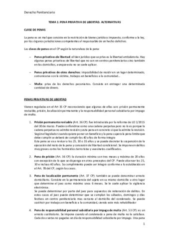 Tema Derecho Penitenciario Pdf