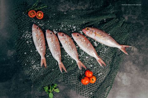 El otoño y su pescado de temporada NutriPharmNutriPharm