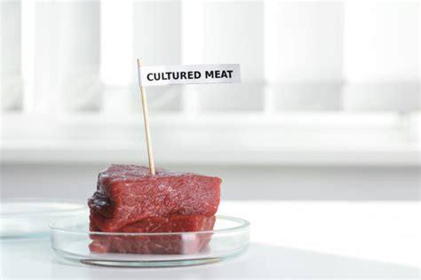 Swiss Food Ch An Innovation Hub For Cultured Meat